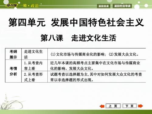 2015年高考政治第一轮复习  文化生活  第八课  走进文化生活