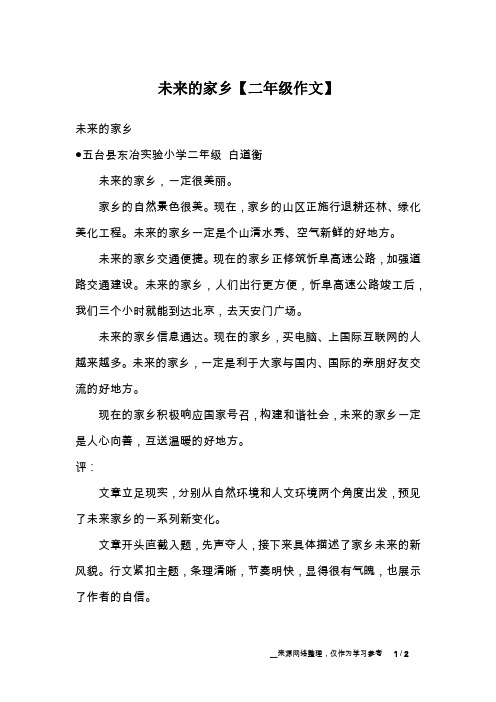 未来的家乡【二年级作文】