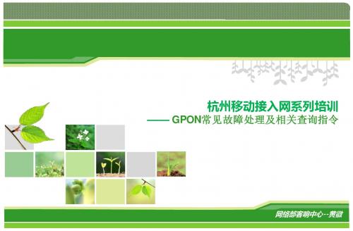2012年度杭州接入网系列培训——GPON常见故障处理及相关查询指令