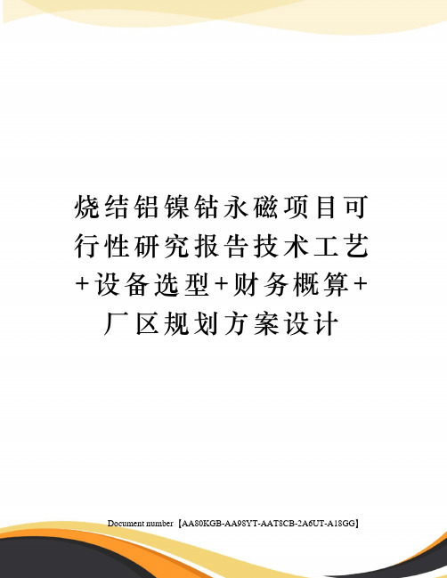 烧结铝镍钴永磁项目可行性研究报告技术工艺+设备选型+财务概算+厂区规划方案设计