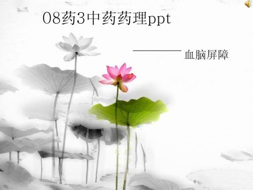 中药药理2组ppt