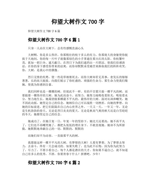 仰望大树作文700字