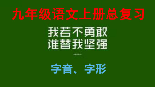 2019-2020学年度第二学期初三中考语文总复习《字音、字形》专题