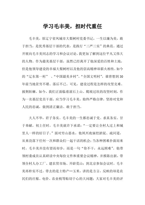 学习毛丰美,担时代重任