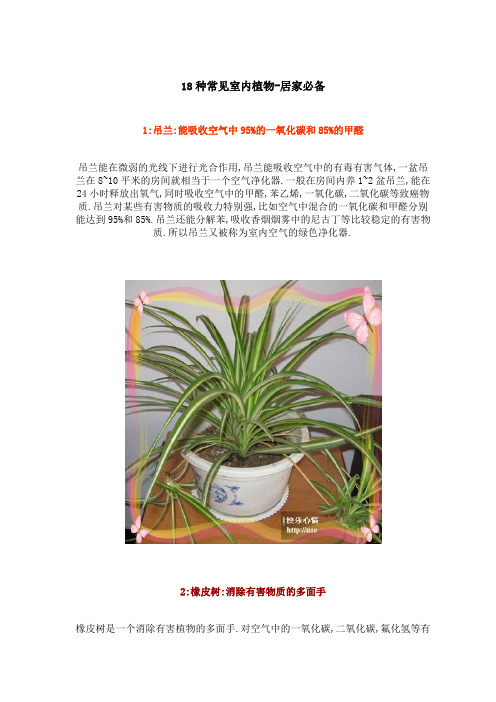 18种常见室内植物-居家必备