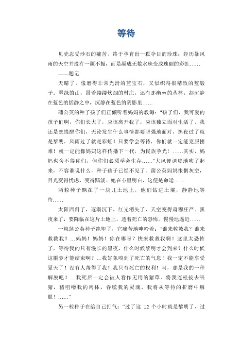 中学生满分作文：等待