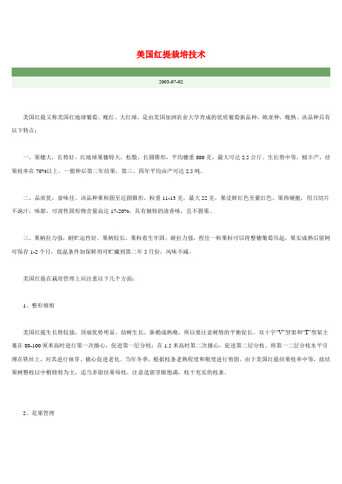 美国红提