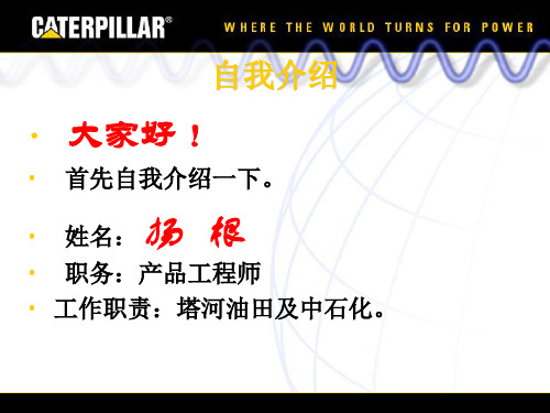 c15发电机组中文介绍