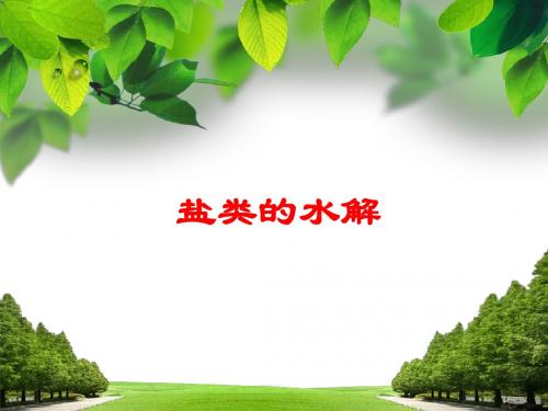 盐类水解说课课件
