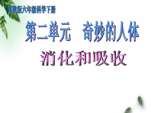 六年级下《5 消化与吸收》 冀人版实用PPT (共16张PPT)