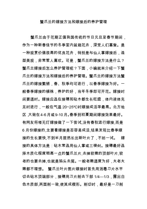蟹爪兰的嫁接方法和嫁接后的养护管理