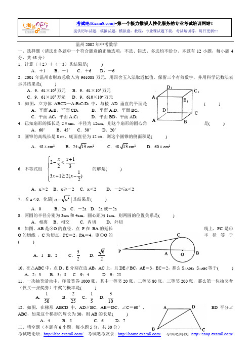温州2002年中考数学