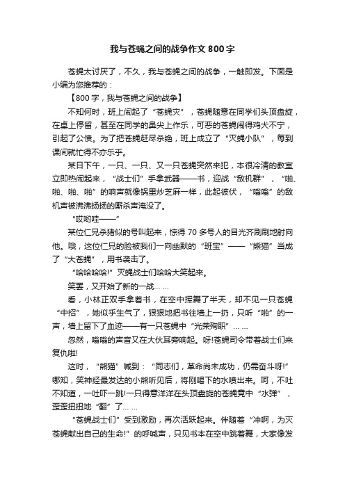 我与苍蝇之间的战争作文800字