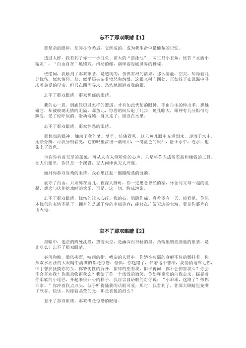 忘不了那双眼睛作文
