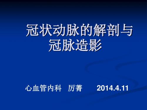 冠脉解剖与冠脉造影厉菁汇总.