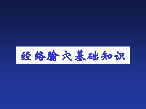 经络与腧穴-精品