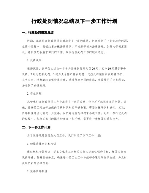 行政处罚情况总结及下一步工作计划