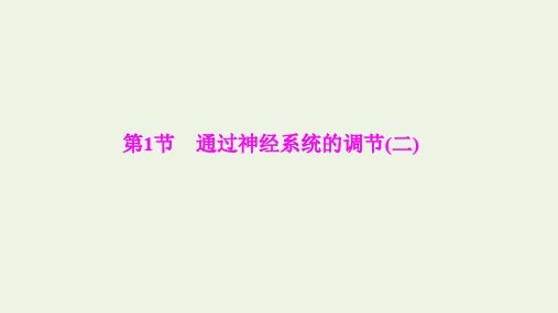 2019_2020学年高中生物第2章动物和人体生命活动的调节第1节通过神经系统的调节(二)课件新人教版必修3