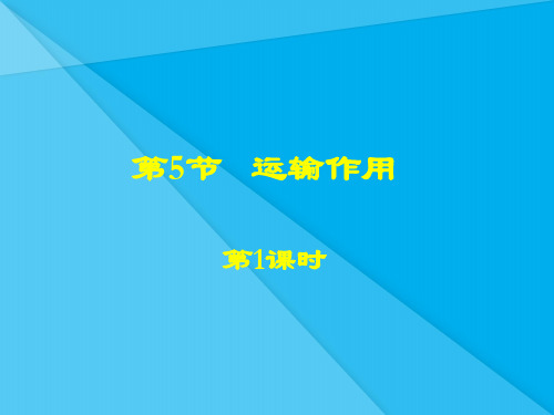 运输作用PPT课件1 北师大版优秀课件