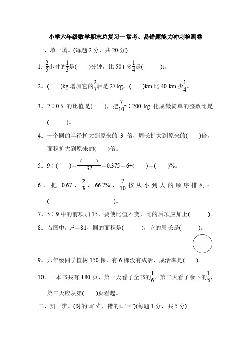 小学六年级数学期末总复习—常考、易错题能力冲刺检测卷(含答案)