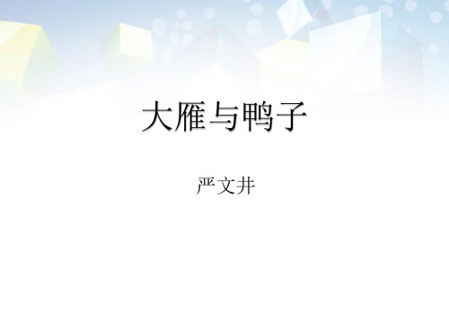 《大雁与鸭子》PPT 图文