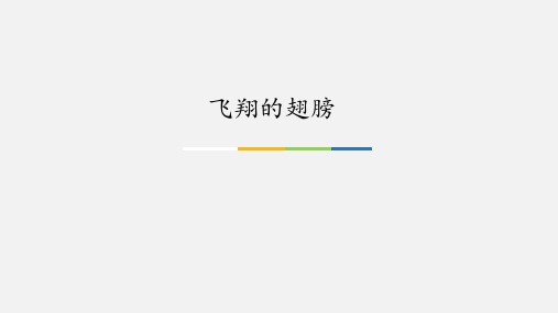 苏少版小学四年级音乐上册(五线谱)飞翔的翅膀_课件1