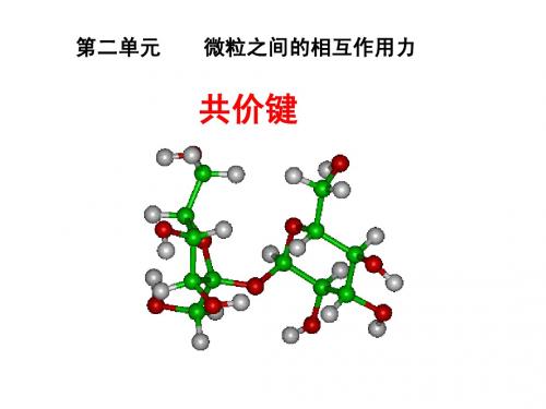 共价键 (苏教)