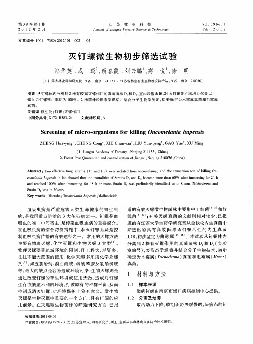 灭钉螺微生物初步筛选试验