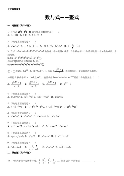 2020中考数学总复习精练及详解-数与式—整式-