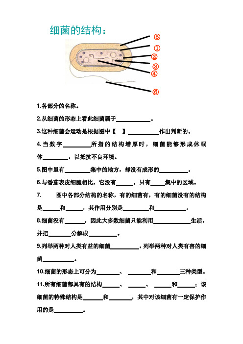 细菌的有关复习题