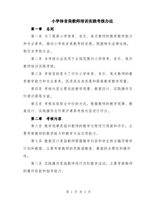 小学体音美教师培训实践考核办法