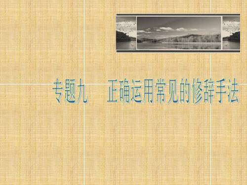 【优化方案】高三语文一轮复习 专题9 修辞名师课件