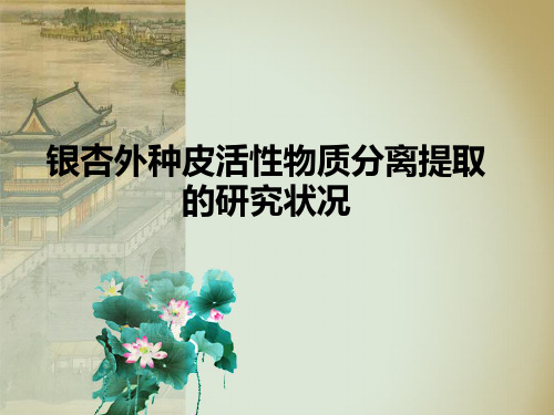 银杏外种皮提取物