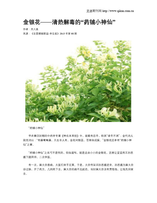 金银花——清热解毒的“药铺小神仙”