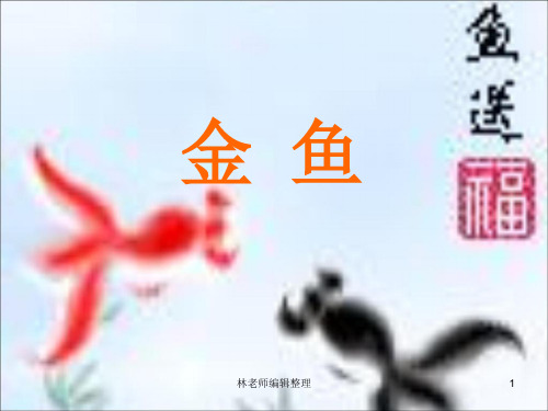 教科小学科学三上《2.6、金鱼》PPT课件(9)