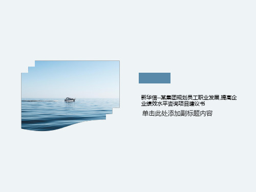 新华信--某集团规划员工职业发展,提高企业绩效水平咨询项目建议书
