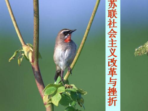 高中历史必修二专题七第三课：苏联社会主义改革与挫折