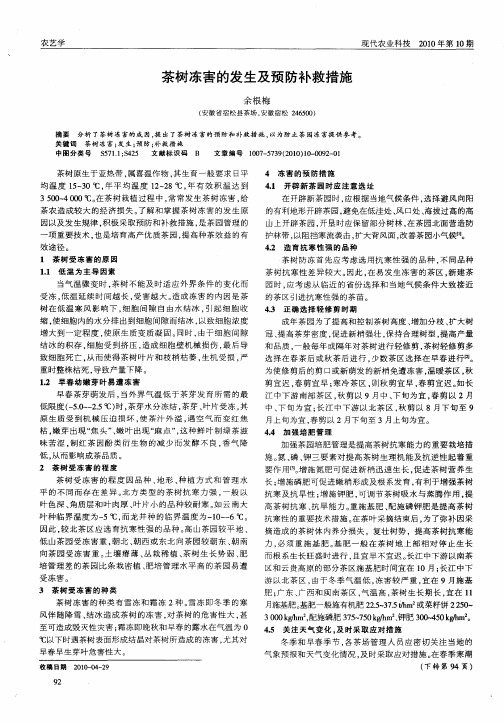 茶树冻害的发生及预防补救措施