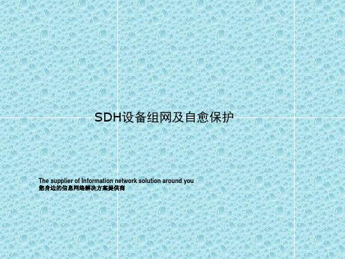 SDH设备组网及自愈保护