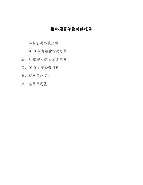 染料项目年终总结报告
