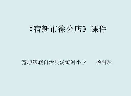 《宿新市徐公店》优秀PPT教学课件