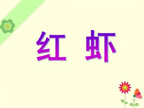《红虾》课件1-优质公开课-湘教五下精品