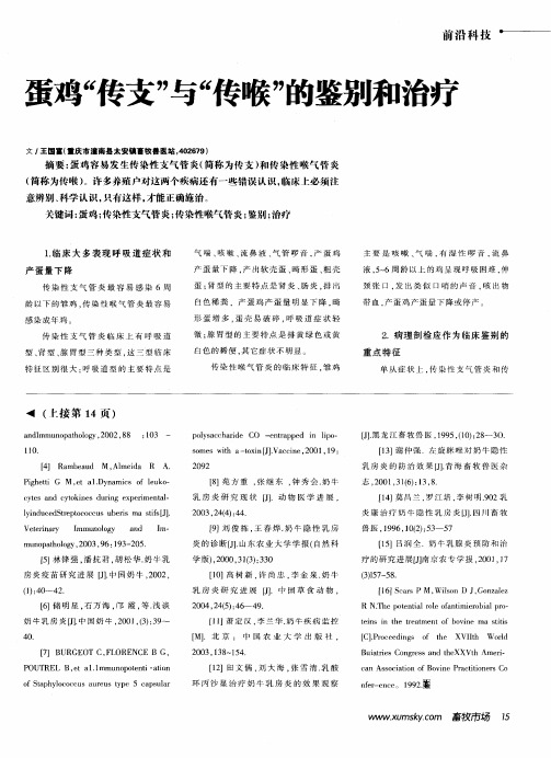 蛋鸡“传支”与“传喉”的鉴别和治疗
