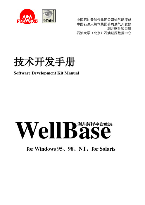 WIS测井数据文件格式