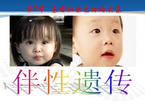 《伴性遗传》PPT课件修改完