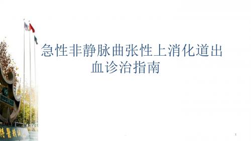 (医学课件)急性上消化道出血诊疗ppt演示课件