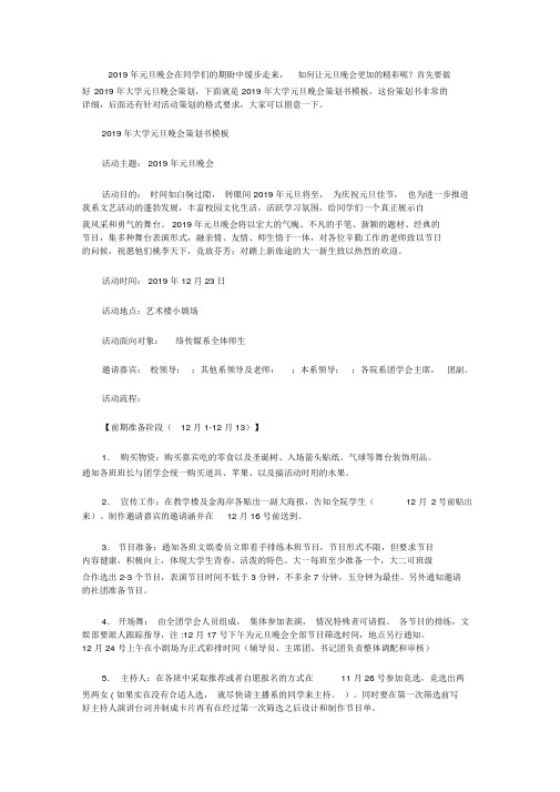 2019年大学元旦晚会策划书模板【精选】.doc