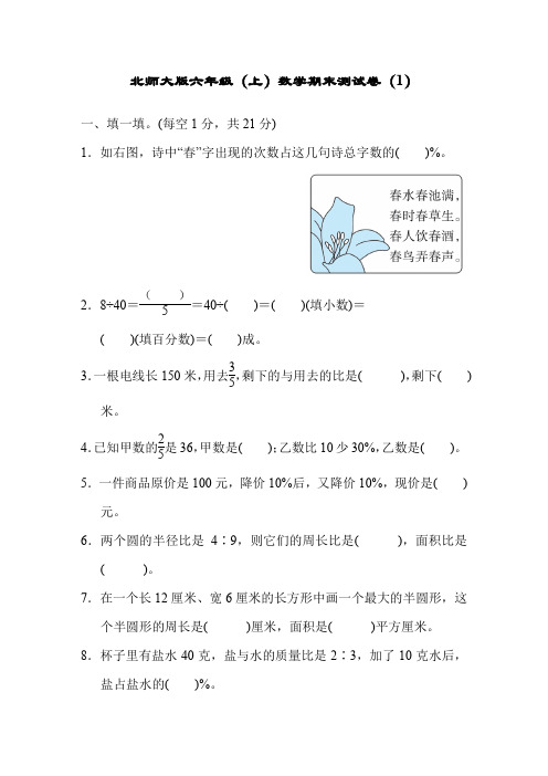 北师大版六年级数学上册期末测试卷及答案