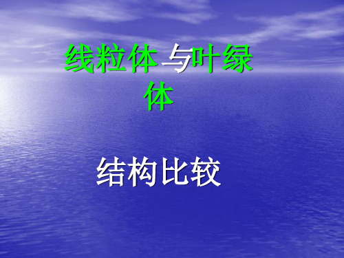 线粒体与叶绿体结构比较