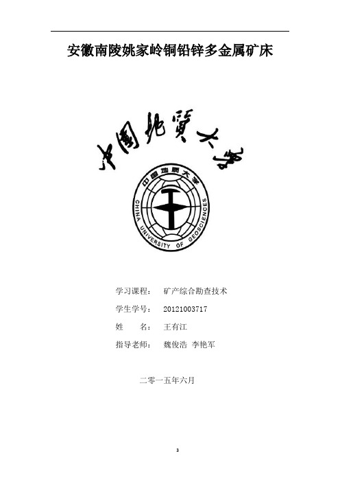 矿产综合勘查技术作业概论